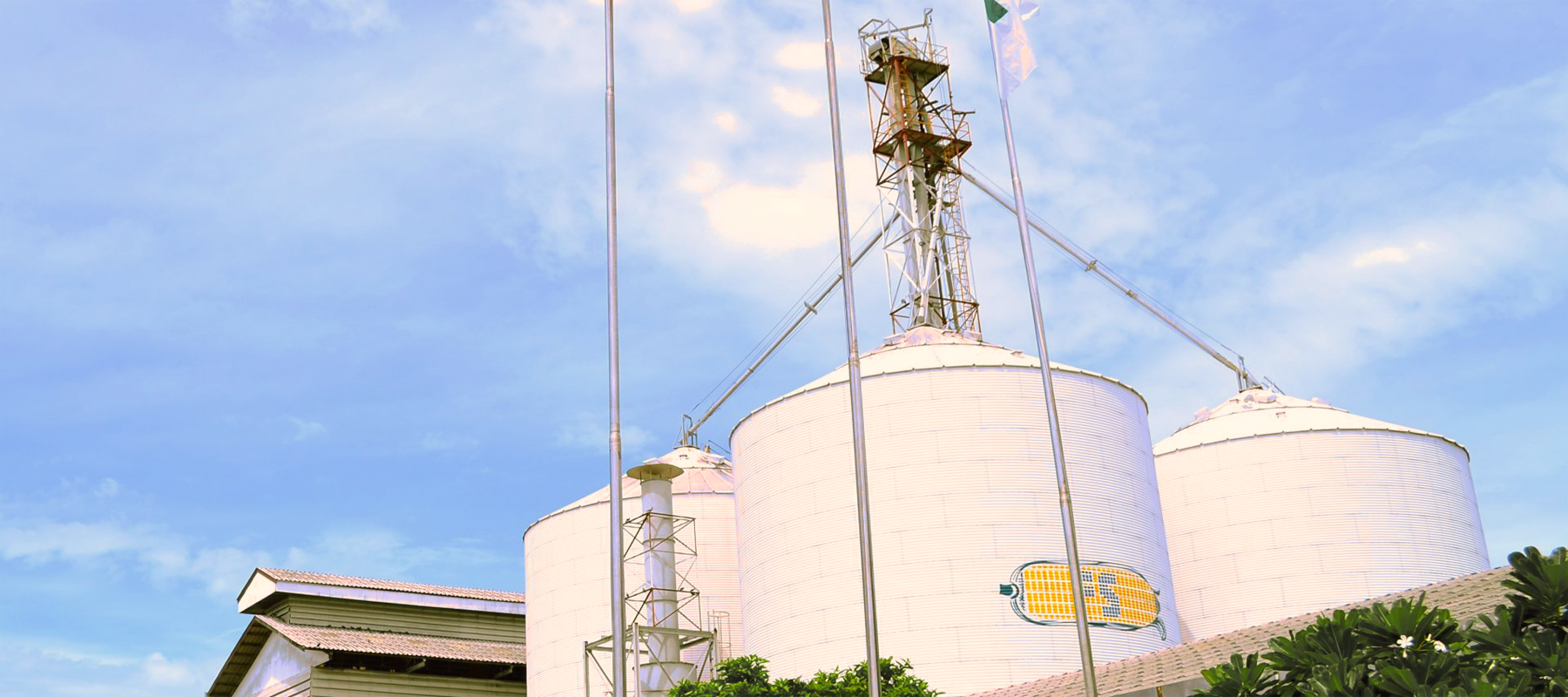 Friendship Corn Starch Co., Ltd. บริษัท เฟรนด์ชิพ คอร์น สตาร์ช จำกัด