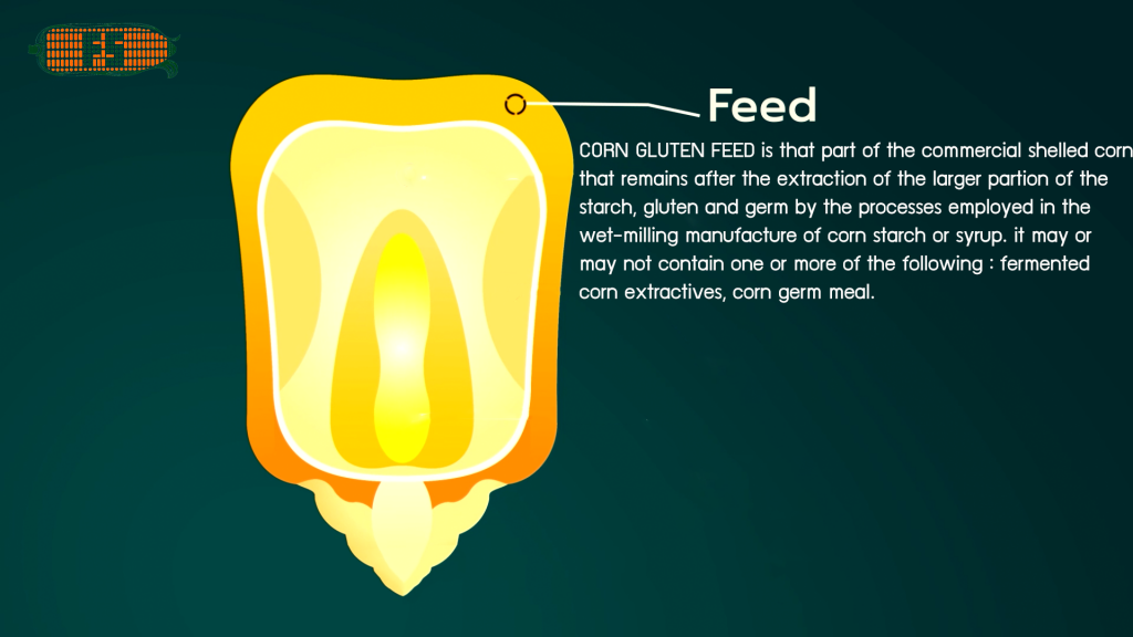 CORN GLUTEN FEED Friendship Corn Starch Co., Ltd.